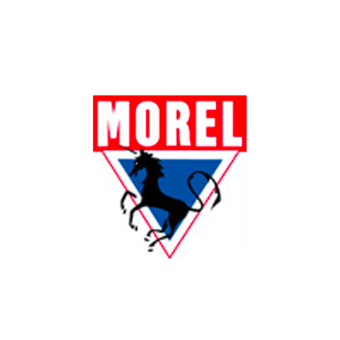 Morel